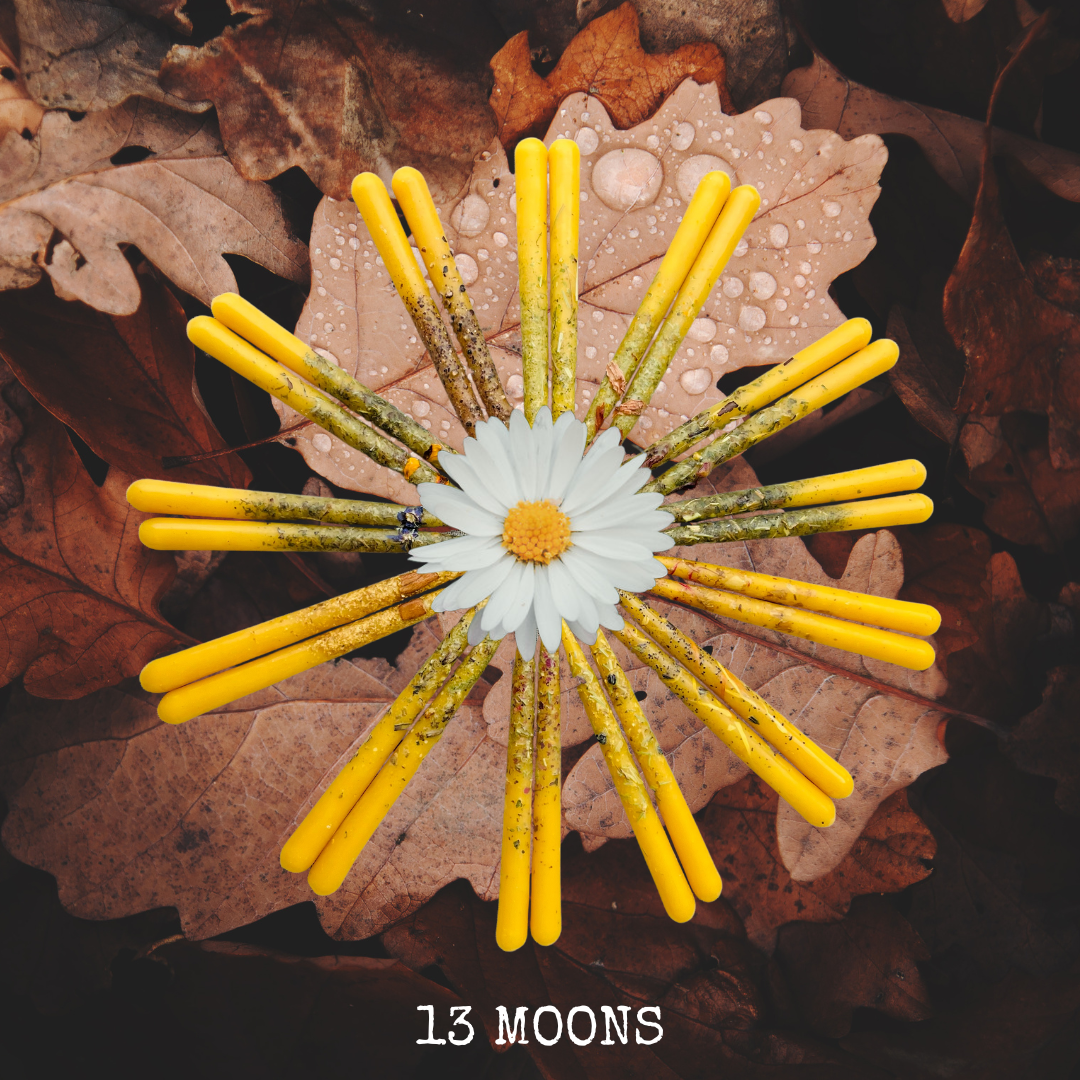 13 Moons Series – Wild Ritual