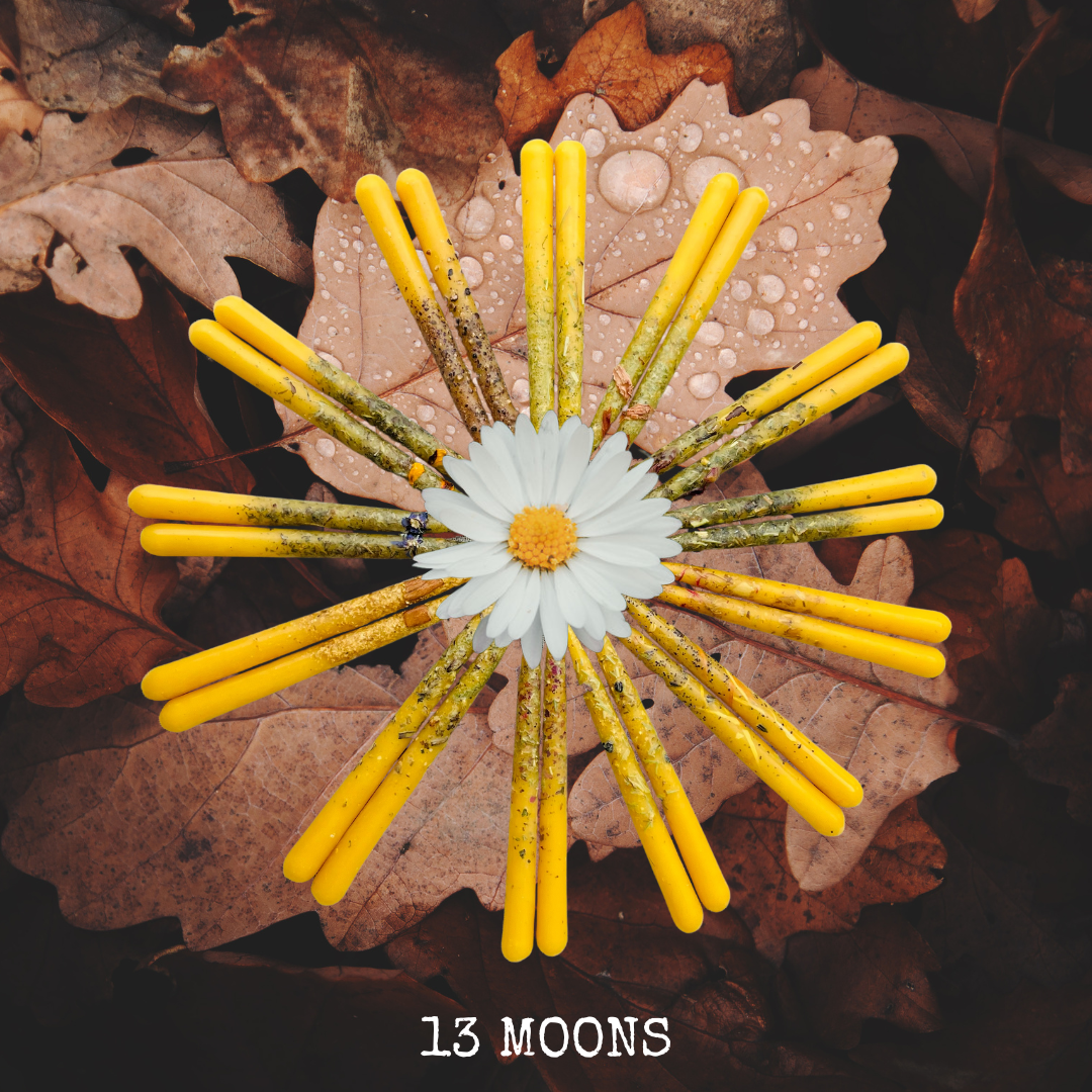 13 Moons Series