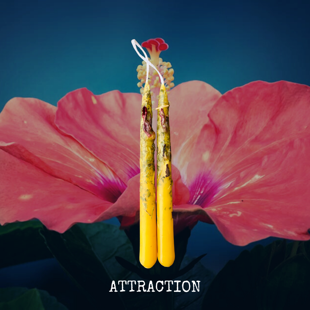 ATTRACTION