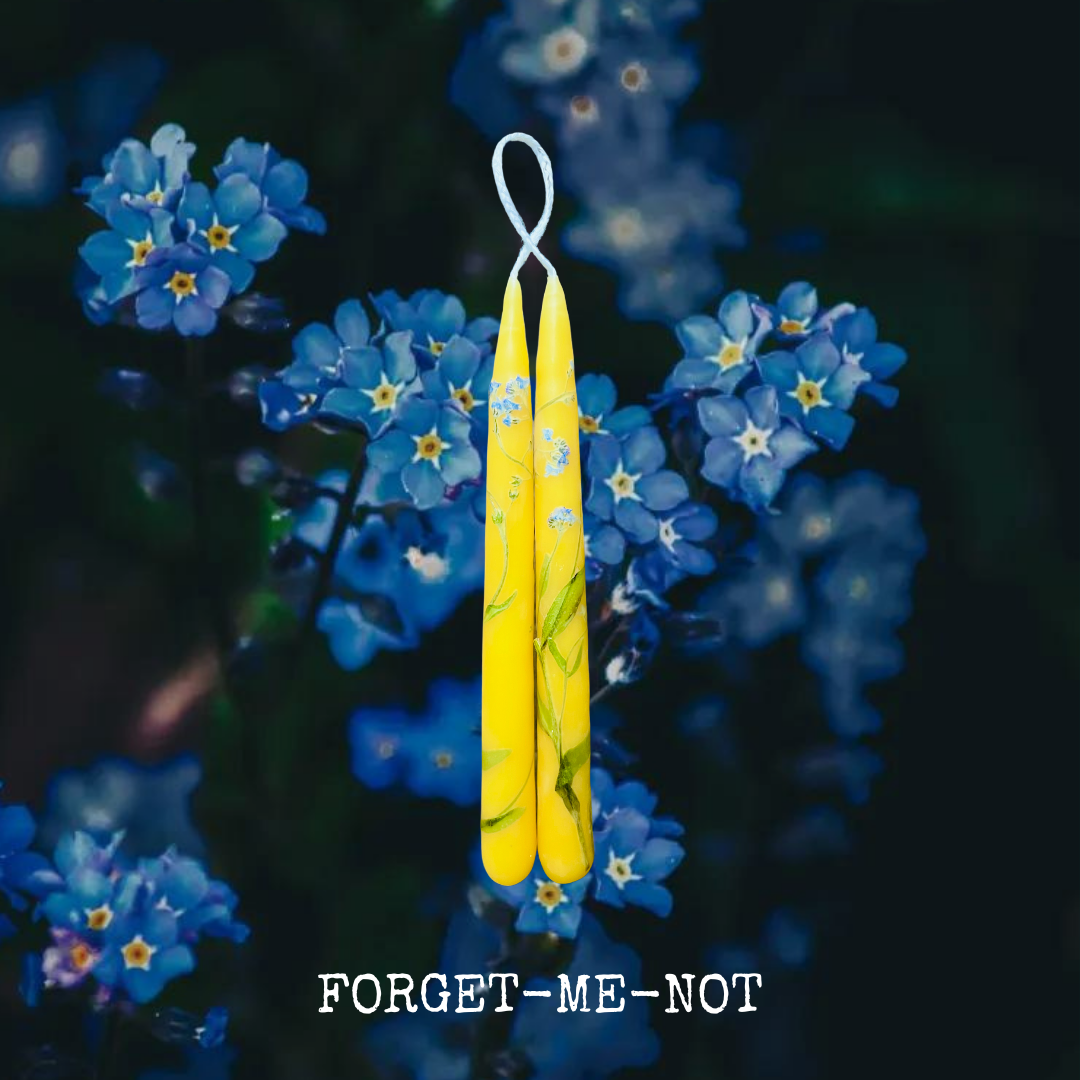 FORGET-ME-NOT